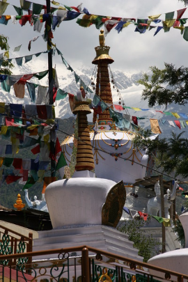 Dharamsala, Karmapa, Barbara Nath-Wiser, Indien, Homöopathie